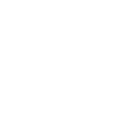 REXON
